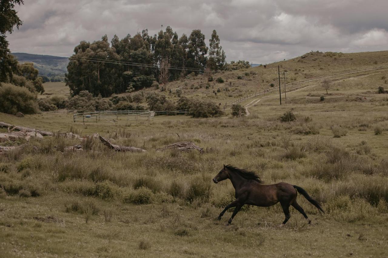 Qambathi Mountain Lodge Rev Estates エクステリア 写真